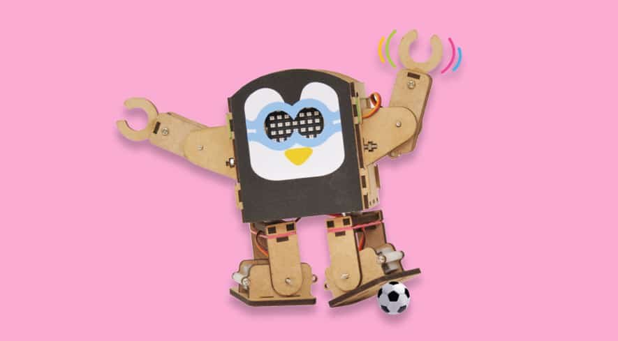 Humanoid Robot Kit